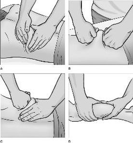 types of petrissage massage