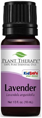 Plant Therapy Lavender